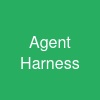 Agent Harness