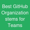 Best GitHub Organization stems for Teams