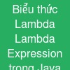 Biểu thức Lambda (Lambda Expression) trong Java