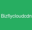 Bizflycloudcdn
