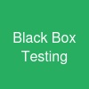 Black Box Testing