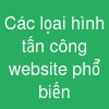 Các lọai hình tấn công website phổ biến