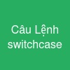 Câu Lệnh switch-case