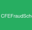 CFE-Fraud-Schemes-and-Financial-Crimes