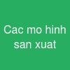 Cac mo hinh san xuat