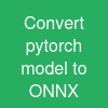 Convert pytorch model to ONNX