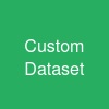 Custom Dataset