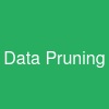 Data Pruning