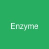 Enzyme