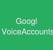 Googl VoiceAccounts