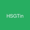 HSGTin