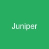 Juniper