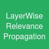 Layer-Wise Relevance Propagation