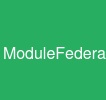 ModuleFederation