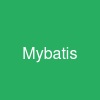 Mybatis