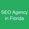 SEO Agency in Florida