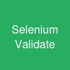 Selenium Validate