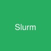 Slurm