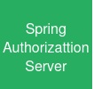 Spring Authorizattion Server