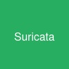 Suricata
