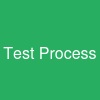 Test Process