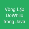 Vòng Lặp Do-While trong Java