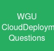 WGU Cloud-Deployment-and-Operations Questions