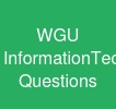 WGU Information-Technology-Management Questions