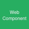 Web Component