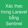 Xác thực trong Laravel bằng Sentinel