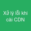 Xử lý lỗi khi cài CDN