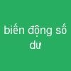 biến động số dư