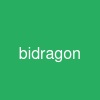 bidragon