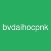 bvdaihocpnk