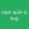 cách quản lý bug