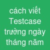 cách viết Testcase trường ngày tháng năm