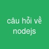 câu hỏi về nodejs