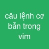 câu lệnh cơ bản trong vim