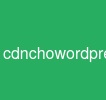 cdnchowordpress