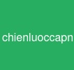 chienluoccapnhatembedding