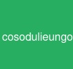 cosodulieungoai