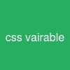 css vairable