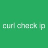 curl check ip