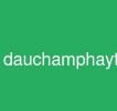 dauchamphaytrongjava