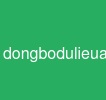 dongbodulieuaitunhieunguon