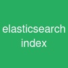 elasticsearch index