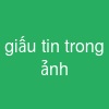 giấu tin trong ảnh