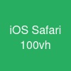 iOS Safari 100vh