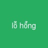 lỗ hổng