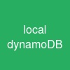 local dynamoDB